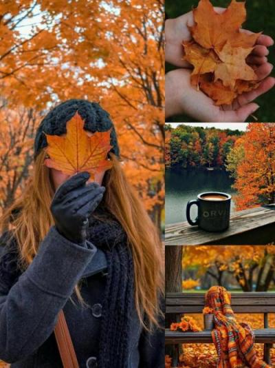 photocollage_1759213535273_0_0.jpg