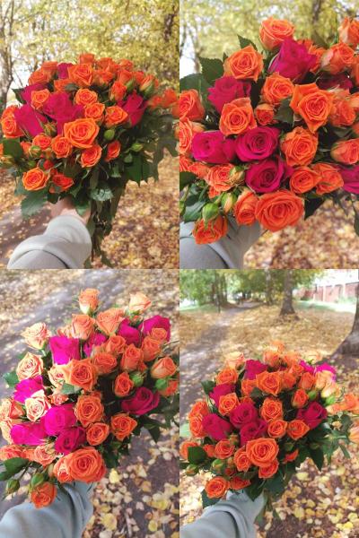 photocollage_1760170747642_0.jpg