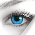 admin's picture